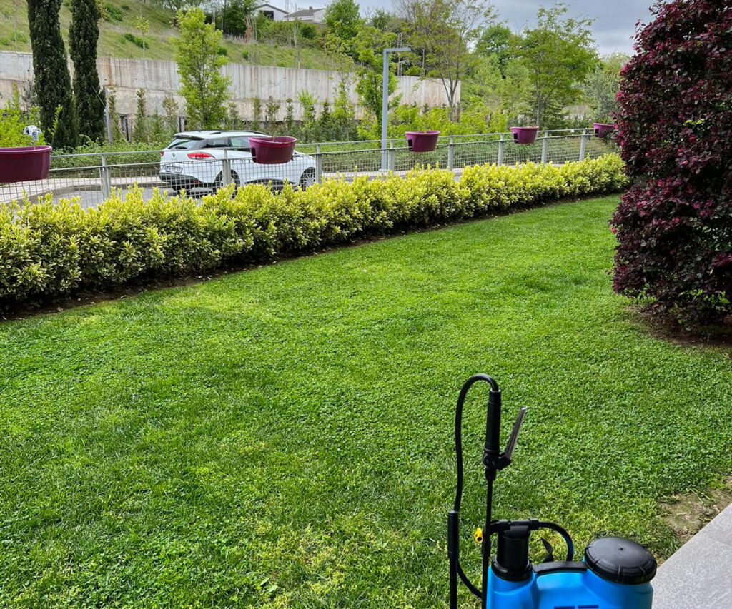 Beykoz Böcek İlaçlama hizmeti